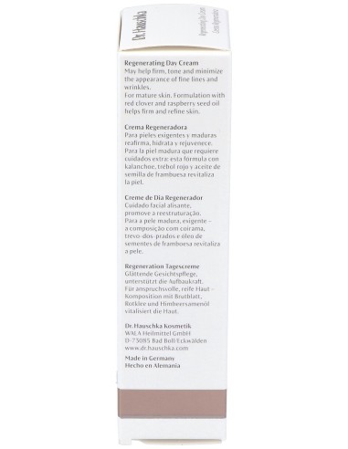 Dr. Hauschka Crema Regeneradora 40 Ml.
