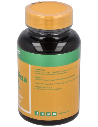 Enzime Sabinco Clorofilina 90Caps