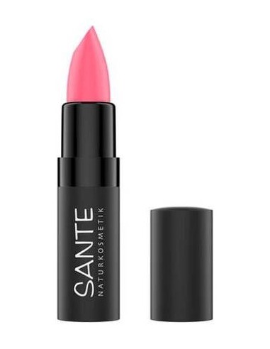 Sante Pintalabios Mate Nro 02 Gentle Rose 4,5G