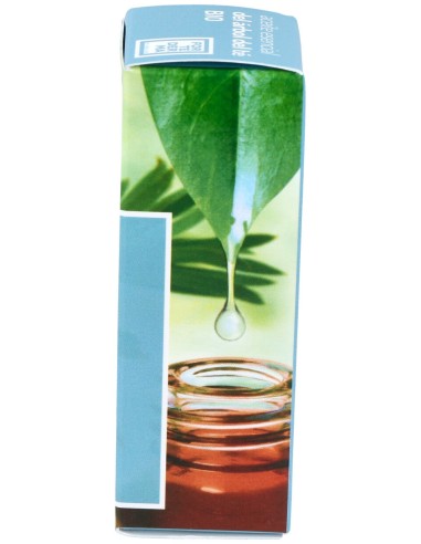 Fortederma Aceite Esencial De Árbol De Té Bio 15Ml