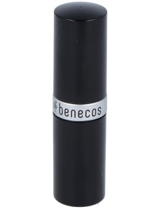 Barra De Labios Cat Walk 4,5Gr.