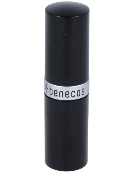 Barra De Labios Cat Walk 4,5Gr.