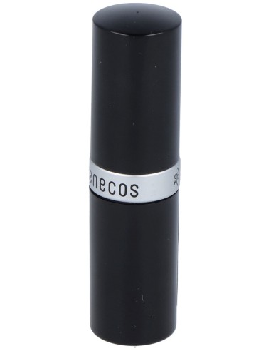 Barra De Labios Cat Walk 4,5Gr.