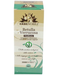 Abedul Yema Macerado Glicerinado 50Ml