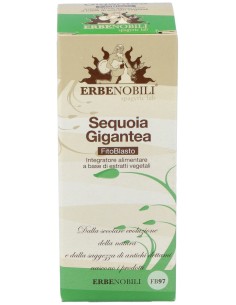 Sequoia - Secuoya Yema Macerado Glicerinado 50Ml