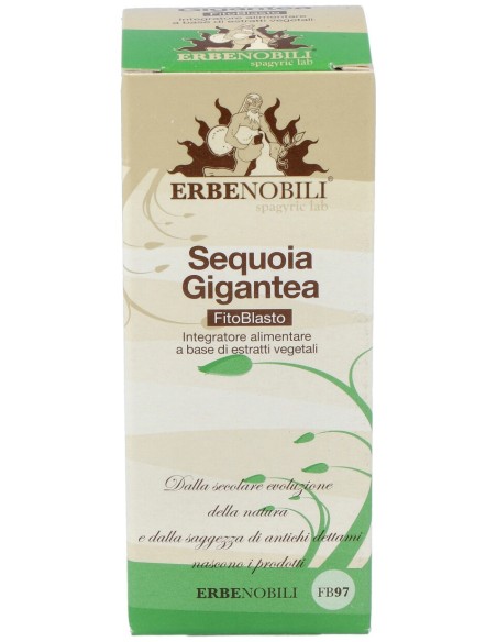 Sequoia - Secuoya Yema Macerado Glicerinado 50Ml