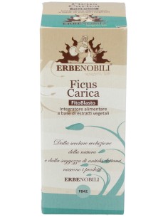 Higuera Yema Macerado Glicerinado 50Ml