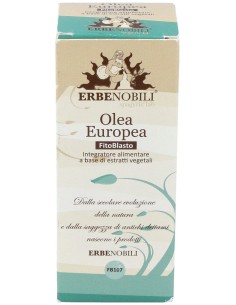 Olivo Yema Macerado Glicerinado 50Ml