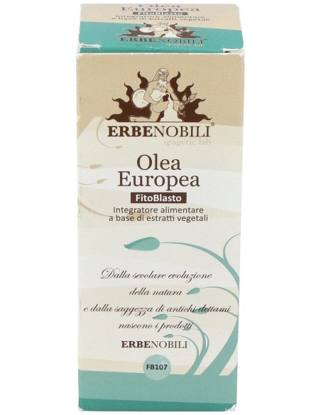 Olivo Yema Macerado Glicerinado 50Ml
