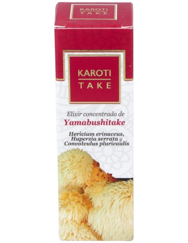 Hiranyagarba Karoti-Take Yamabushitake 30Ml