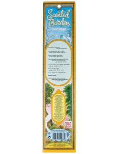 Radhe Shyam Pino Stick Incienso Scented Garden 1Ud