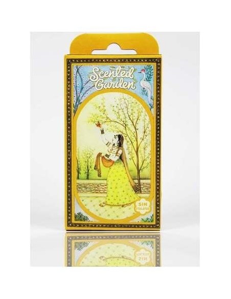 Radhe Shyam Eucalipto Cono Incienso Scented Garden 12Uds