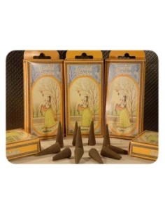 Radhe Shyam Musk Cono Incienso Scented Garden 1Ud
