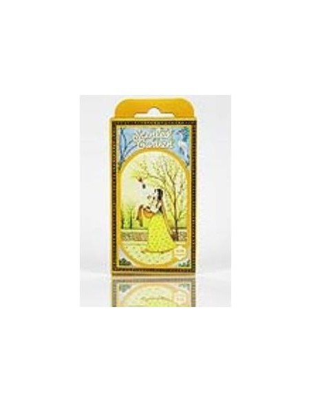 Radhe Shyam Verbena Cono Scented Garden 12Uds