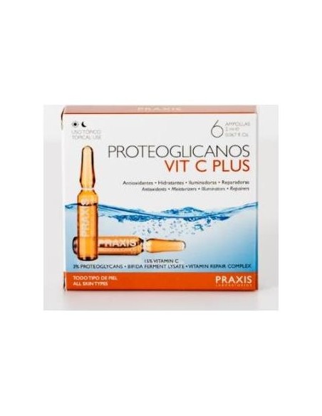 Proteoglicanos Vit C Plus 6Amp.