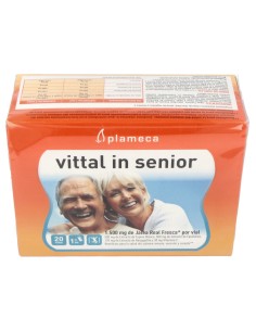 Vital In Senior Jalea Real 20Amp