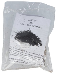 Rosa De Jerico Unidad