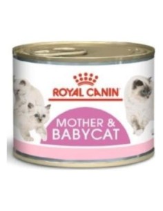 Royal Feline Mother Babycat Caja 12X195Gr.