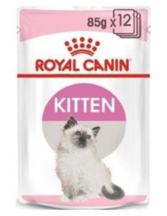 Feline Kitten Salsa Pouch Caja 12X85Gr.