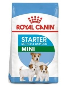 Royal Canine Starter Mini 1Kg.