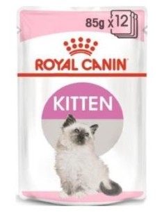 Royal Feline Kitten Pate Caja 12X85Gr.