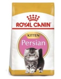 Royal Feline Kitten Persa 32 2Kg.