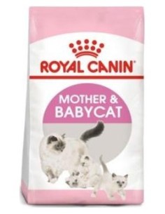 Royal Feline Babycat 34 2Kg.
