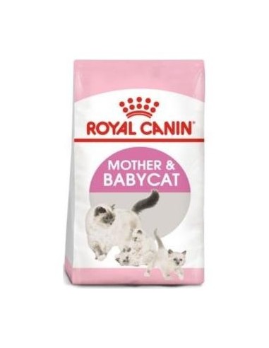 Royal Feline Babycat 34 2Kg.
