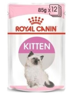 Royal Feline Kitten Gelatina 12X85Gr.