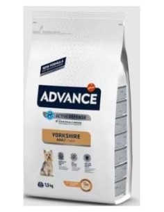 Advance Yorkshire Terrier 1,5Kg.