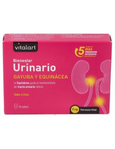 Vitalart Vitalart Bienestar Urinario 10 Sobres