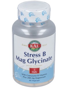Kal Stress B Mag Glycinate 60Caps