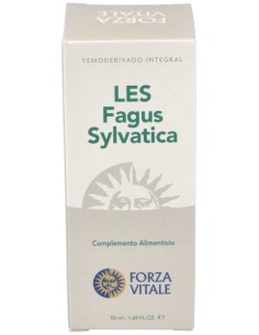 Les Fagus Sylvatica Haya 50Ml.
