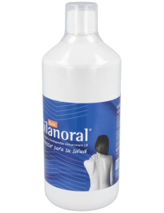 Mca Productos Naturales Silanoral Basic 1L