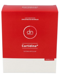 Direct Nutrition Cartidina 20Uds