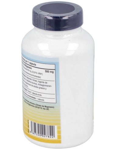 Vbyotics Magmax Magnesio Citrato 500Mg 100Caps