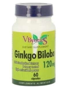 Vbyotics Ginko Biloba 120Mg 60Caps
