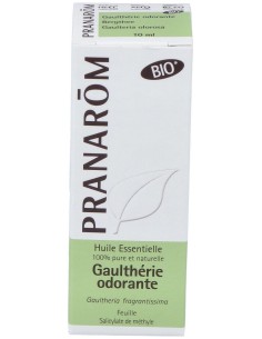 Gaulteria Olorosa Hoja Aceite Esencial Bio 10Ml.