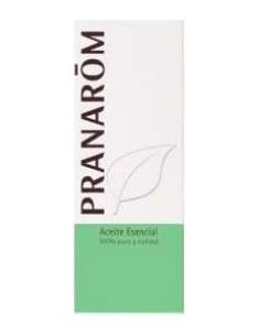 Hierba Lombriguera (Tanacetum) Aceite Esencial 5Ml