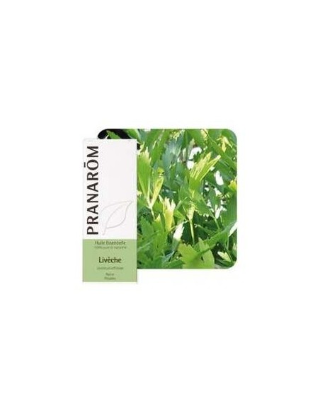 Levistico Aceite Esencial 5Ml.