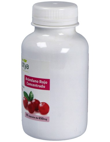 Sotya Arándano Rojo Concentrado 650Mg 90Cáps