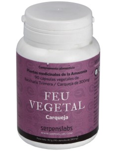Feu Vegetal Digestion 90Cap.