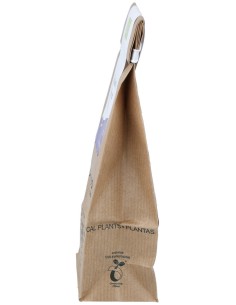 Josenea Te Verde Citrus 10 Piramides Bio