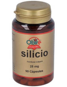 Obire Silicio 25Mg 90Caps