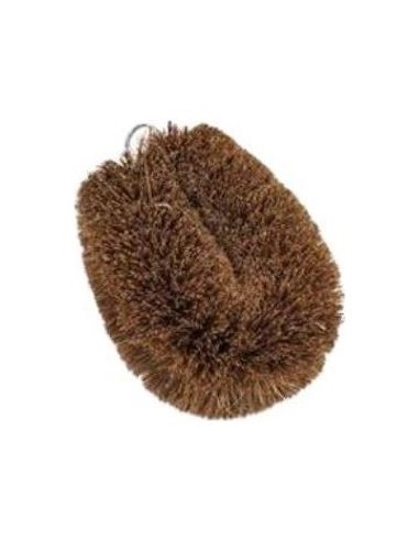 Cepillo Limpiador Hortalizas