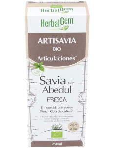 Herbalgem Pranaron Artisavia Articulaciones 250Ml