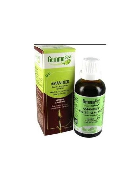 Almendro Macerado Glicerinado 50Ml.