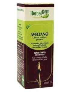 Avellano Macerado Glicerinado 50Ml.