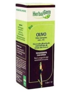 Olivo Macerado Glicerinado 50Ml.