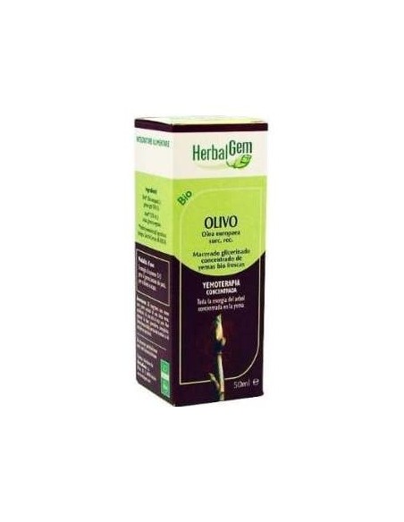Olivo Macerado Glicerinado 50Ml.